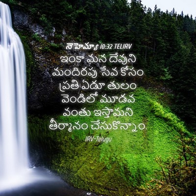 Picture 04 - నెహెమ్యా 10:32 TELIRV - ఇంకా మన దేవుని - Bible Verse Picture