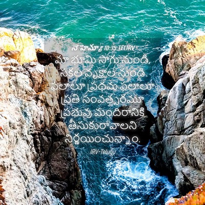 Picture 04 - నెహెమ్యా 10:35 TELIRV - మా భూమి సాగు నుండి, - Bible Verse Picture