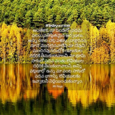 Picture 04 - నెహెమ్యా 10:37 TELIRV - అంతేకాక, మా - Bible Verse Picture