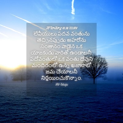 Picture 04 - నెహెమ్యా 10:38 TELIRV - లేవీయులు పదవ - Bible Verse Picture