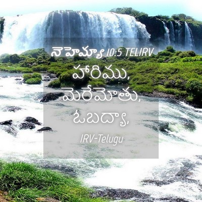 Picture 04 - నెహెమ్యా 10:5 TELIRV - హారిము, మెరేమోతు, - Bible Verse Picture