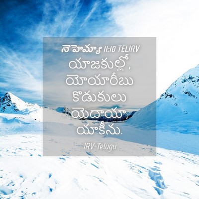 Picture 04 - నెహెమ్యా 11:10 TELIRV - యాజకుల్లో, - Bible Verse Picture