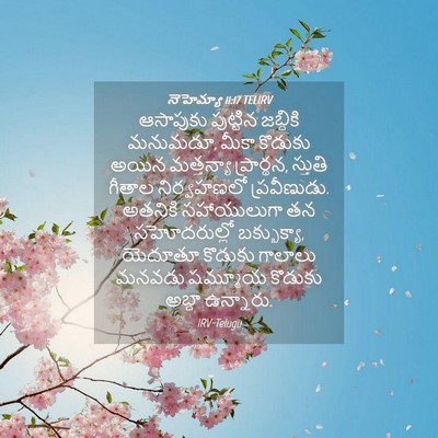 Picture 04 - నెహెమ్యా 11:17 TELIRV - ఆసాపుకు పుట్టిన - Bible Verse Picture