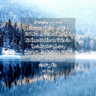 Picture 04 - నెహెమ్యా 11:24 TELIRV - యూదా గోత్రం వాడైన - Bible Verse Picture