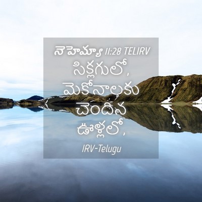 Picture 04 - నెహెమ్యా 11:28 TELIRV - సిక్లగులో, - Bible Verse Picture