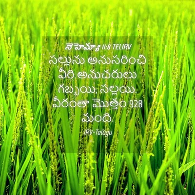 Picture 04 - నెహెమ్యా 11:8 TELIRV - సల్లును అనుసరించి - Bible Verse Picture
