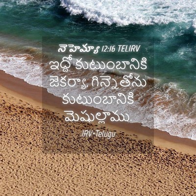 Picture 04 - నెహెమ్యా 12:16 TELIRV - ఇద్దో కుటుంబానికి - Bible Verse Picture