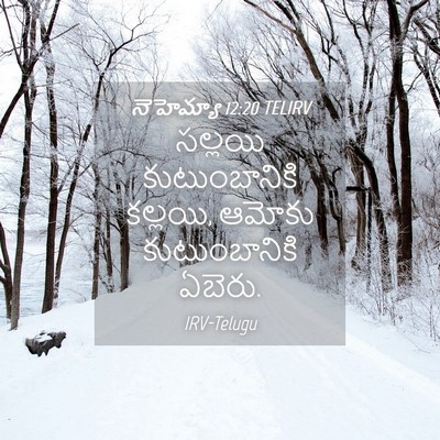 Picture 04 - నెహెమ్యా 12:20 TELIRV - సల్లయి - Bible Verse Picture
