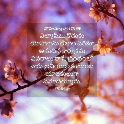 Picture 04 - నెహెమ్యా 12:23 TELIRV - ఎల్యాషీబు కొడుకు - Bible Verse Picture