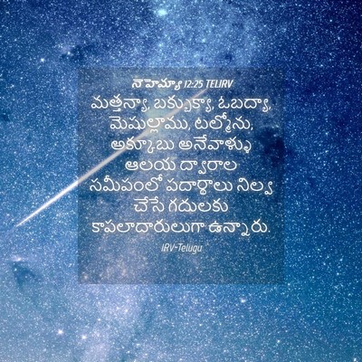Picture 04 - నెహెమ్యా 12:25 TELIRV - మత్తన్యా, - Bible Verse Picture