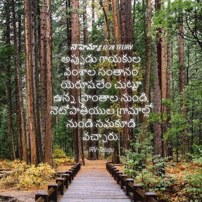 Picture 04 - నెహెమ్యా 12:28 TELIRV - అప్పుడు గాయకుల - Bible Verse Picture