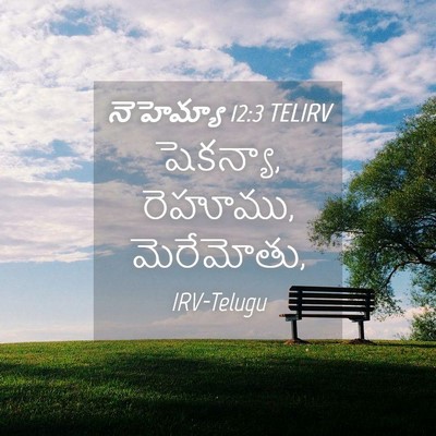 Picture 04 - నెహెమ్యా 12:3 TELIRV - షెకన్యా, రెహూము, - Bible Verse Picture