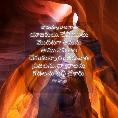 Picture 04 - నెహెమ్యా 12:30 TELIRV - యాజకులు, లేవీయులు - Bible Verse Picture