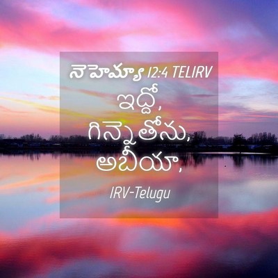 Picture 04 - నెహెమ్యా 12:4 TELIRV - ఇద్దో, గిన్నెతోను, - Bible Verse Picture