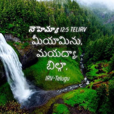Picture 04 - నెహెమ్యా 12:5 TELIRV - మీయామిను, మయద్యా, - Bible Verse Picture