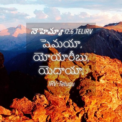 Picture 04 - నెహెమ్యా 12:6 TELIRV - షెమయా, యోయారీబు, - Bible Verse Picture