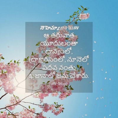 Picture 04 - నెహెమ్యా 13:12 TELIRV - ఆ తరువాత యూదులంతా - Bible Verse Picture