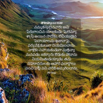 Picture 04 - నెహెమ్యా 13:13 TELIRV - నమ్మకస్తులైనవారు - Bible Verse Picture
