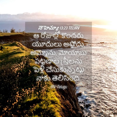 Picture 04 - నెహెమ్యా 13:23 TELIRV - ఆ రోజుల్లో కొందరు - Bible Verse Picture