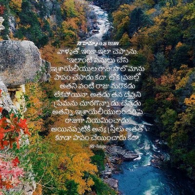Picture 04 - నెహెమ్యా 13:26 TELIRV - వాళ్ళతో ఇంకా ఇలా - Bible Verse Picture