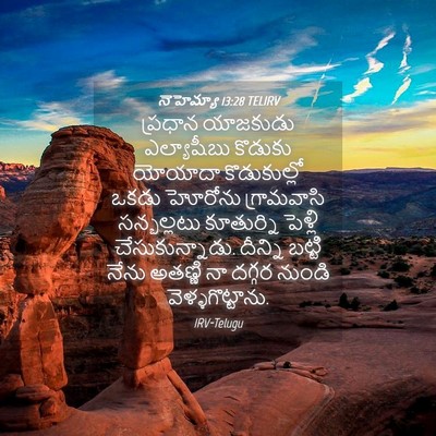 Picture 04 - నెహెమ్యా 13:28 TELIRV - ప్రధాన యాజకుడు - Bible Verse Picture