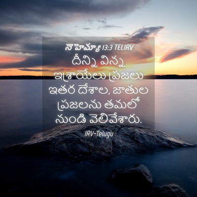 Picture 04 - నెహెమ్యా 13:3 TELIRV - దీన్ని విన్న - Bible Verse Picture