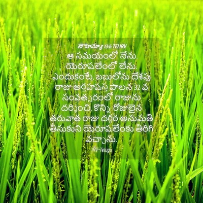 Picture 04 - నెహెమ్యా 13:6 TELIRV - ఆ సమయంలో నేను - Bible Verse Picture
