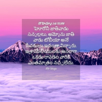 Picture 04 - నెహెమ్యా 2:10 TELIRV - హోరోనీ జాతివాడు - Bible Verse Picture