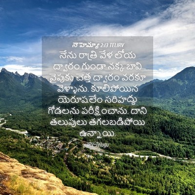 Picture 04 - నెహెమ్యా 2:13 TELIRV - నేను రాత్రి వేళ - Bible Verse Picture