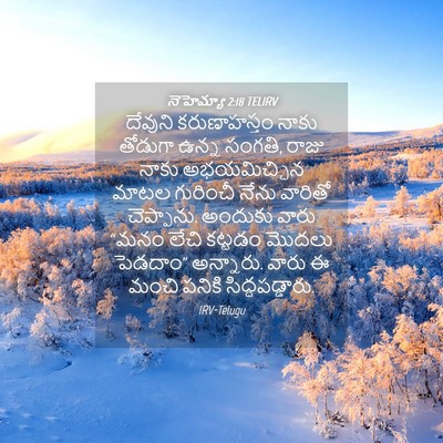 Picture 04 - నెహెమ్యా 2:18 TELIRV - దేవుని కరుణాహస్తం - Bible Verse Picture