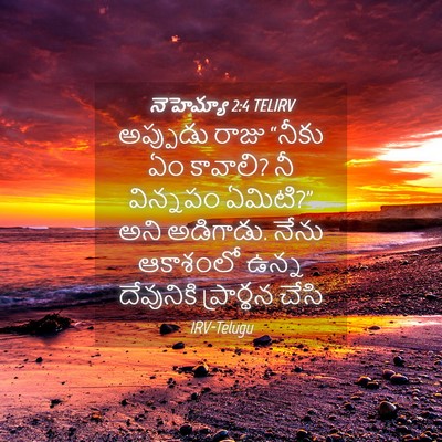 Picture 04 - నెహెమ్యా 2:4 TELIRV - అప్పుడు రాజు - Bible Verse Picture