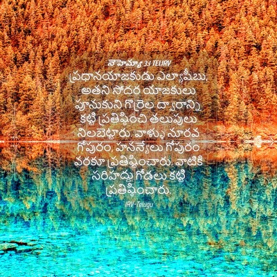 Picture 04 - నెహెమ్యా 3:1 TELIRV - ప్రధానయాజకుడు - Bible Verse Picture
