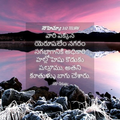 Picture 04 - నెహెమ్యా 3:12 TELIRV - వారి పక్కన - Bible Verse Picture