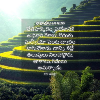 Picture 04 - నెహెమ్యా 3:14 TELIRV - బేత్‌హక్కెరెం - Bible Verse Picture