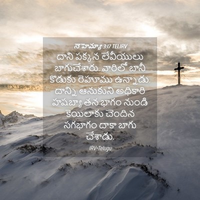 Picture 04 - నెహెమ్యా 3:17 TELIRV - దాని పక్కన - Bible Verse Picture