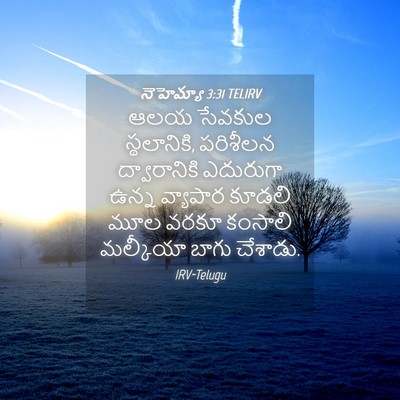 Picture 04 - నెహెమ్యా 3:31 TELIRV - ఆలయ సేవకుల - Bible Verse Picture