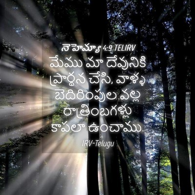 Picture 04 - నెహెమ్యా 4:9 TELIRV - మేము మా దేవునికి - Bible Verse Picture