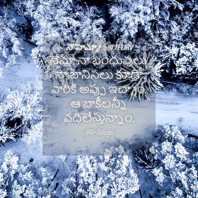 Picture 04 - నెహెమ్యా 5:10 TELIRV - నేనూ నా బంధువులు, - Bible Verse Picture