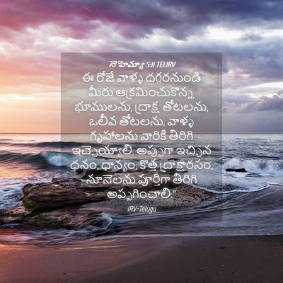 Picture 04 - నెహెమ్యా 5:11 TELIRV - ఈ రోజే వాళ్ళ - Bible Verse Picture