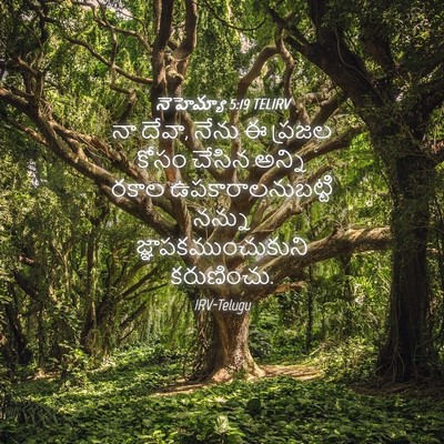 Picture 04 - నెహెమ్యా 5:19 TELIRV - నా దేవా, నేను ఈ - Bible Verse Picture