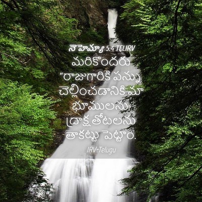 Picture 04 - నెహెమ్యా 5:4 TELIRV - మరికొందరు - Bible Verse Picture