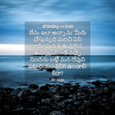 Picture 04 - నెహెమ్యా 5:9 TELIRV - నేను ఇలా అన్నాను - Bible Verse Picture