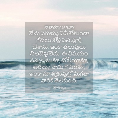 Picture 04 - నెహెమ్యా 6:1 TELIRV - నేను పగుళ్ళు ఏవీ - Bible Verse Picture