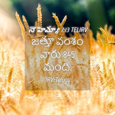 Picture 04 - నెహెమ్యా 7:13 TELIRV - జత్తూ వంశం వారు 845 - Bible Verse Picture
