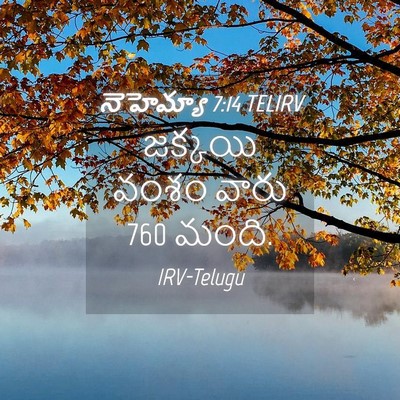 Picture 04 - నెహెమ్యా 7:14 TELIRV - జక్కయి వంశం వారు 760 - Bible Verse Picture