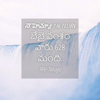 Picture 04 - నెహెమ్యా 7:16 TELIRV - బేబై వంశం వారు 628 - Bible Verse Picture