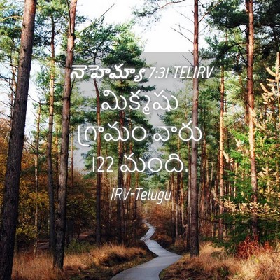 Picture 04 - నెహెమ్యా 7:31 TELIRV - మిక్మషు గ్రామం - Bible Verse Picture