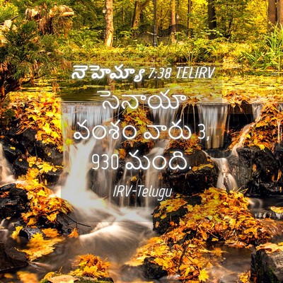 Picture 04 - నెహెమ్యా 7:38 TELIRV - సెనాయా వంశం వారు 3, - Bible Verse Picture