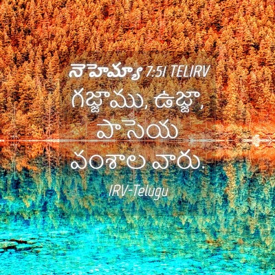 Picture 04 - నెహెమ్యా 7:51 TELIRV - గజ్జాము, ఉజ్జా, - Bible Verse Picture