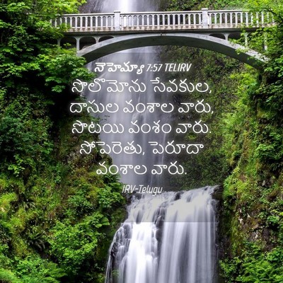 Picture 04 - నెహెమ్యా 7:57 TELIRV - సొలొమోను సేవకుల, - Bible Verse Picture